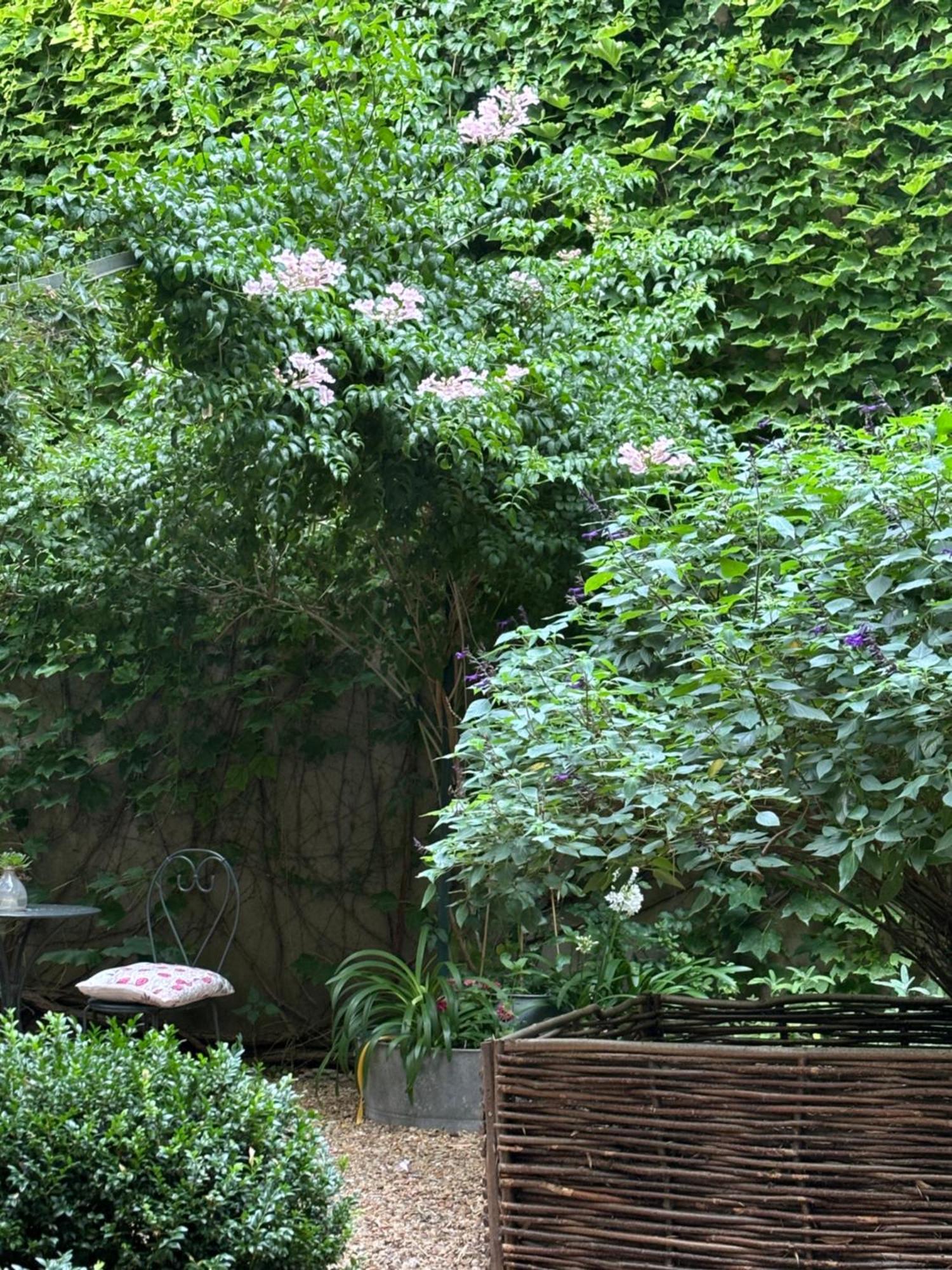 Le Logis Blanc Bed&Breakfast Coursan Экстерьер фото