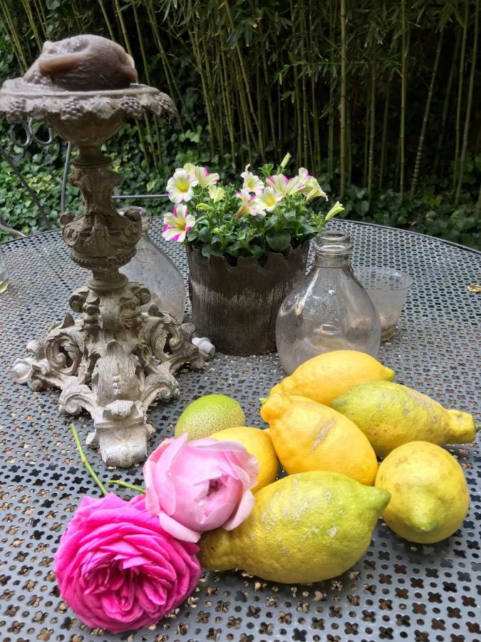 Le Logis Blanc Bed&Breakfast Coursan Экстерьер фото